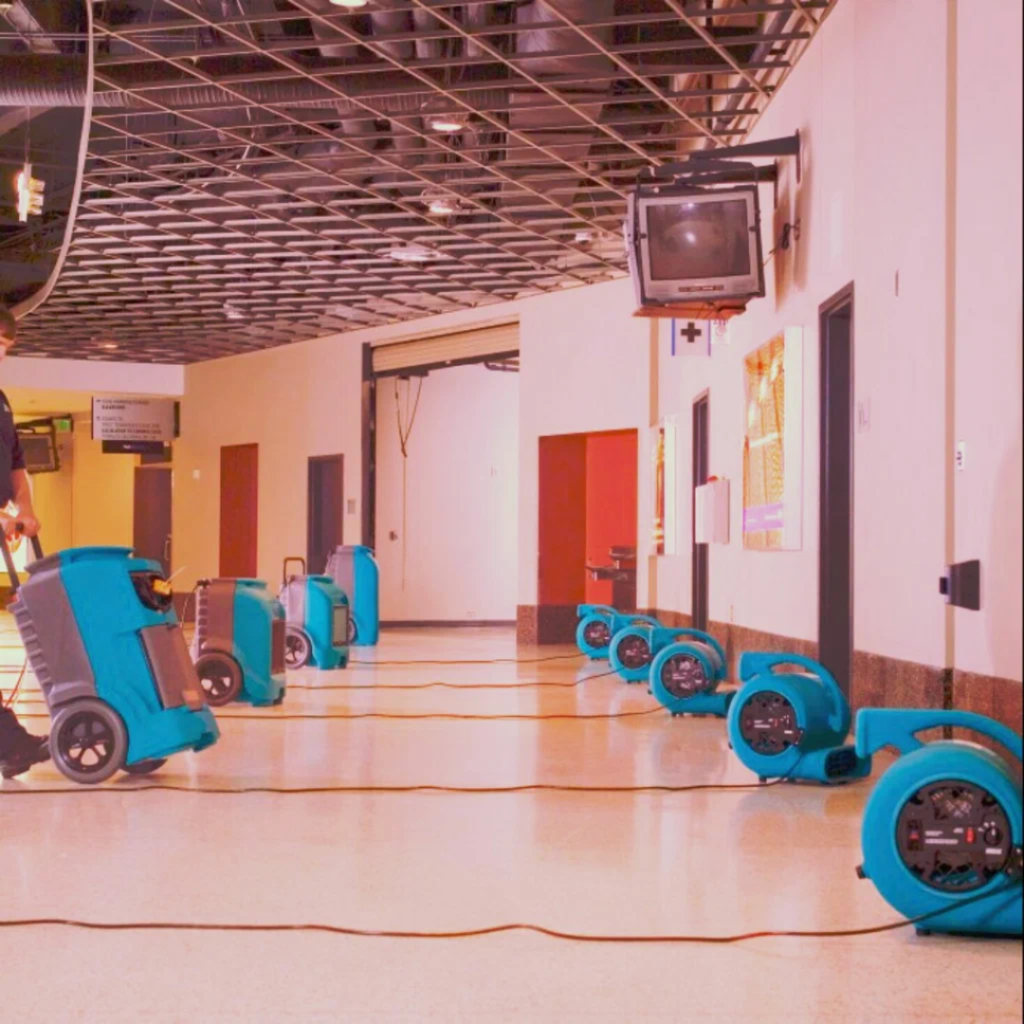 fonox (2160 x 2160 px) (28)